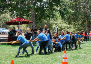 Team Building Games - Company Picnic SpecialistsCompany Picnic Specialists